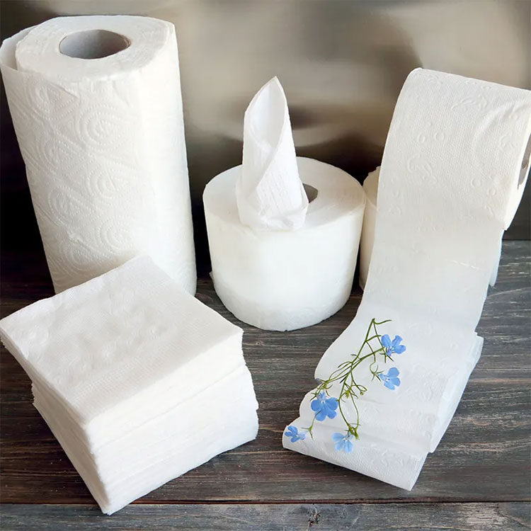 ¿Cómo afecta el papel higiénico a la higiene y la comodidad diarias?